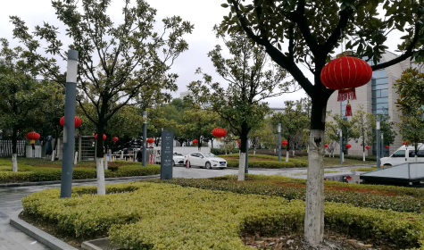 掛燈籠，貼春聯(lián)  蘇化科技園內(nèi)年味濃
